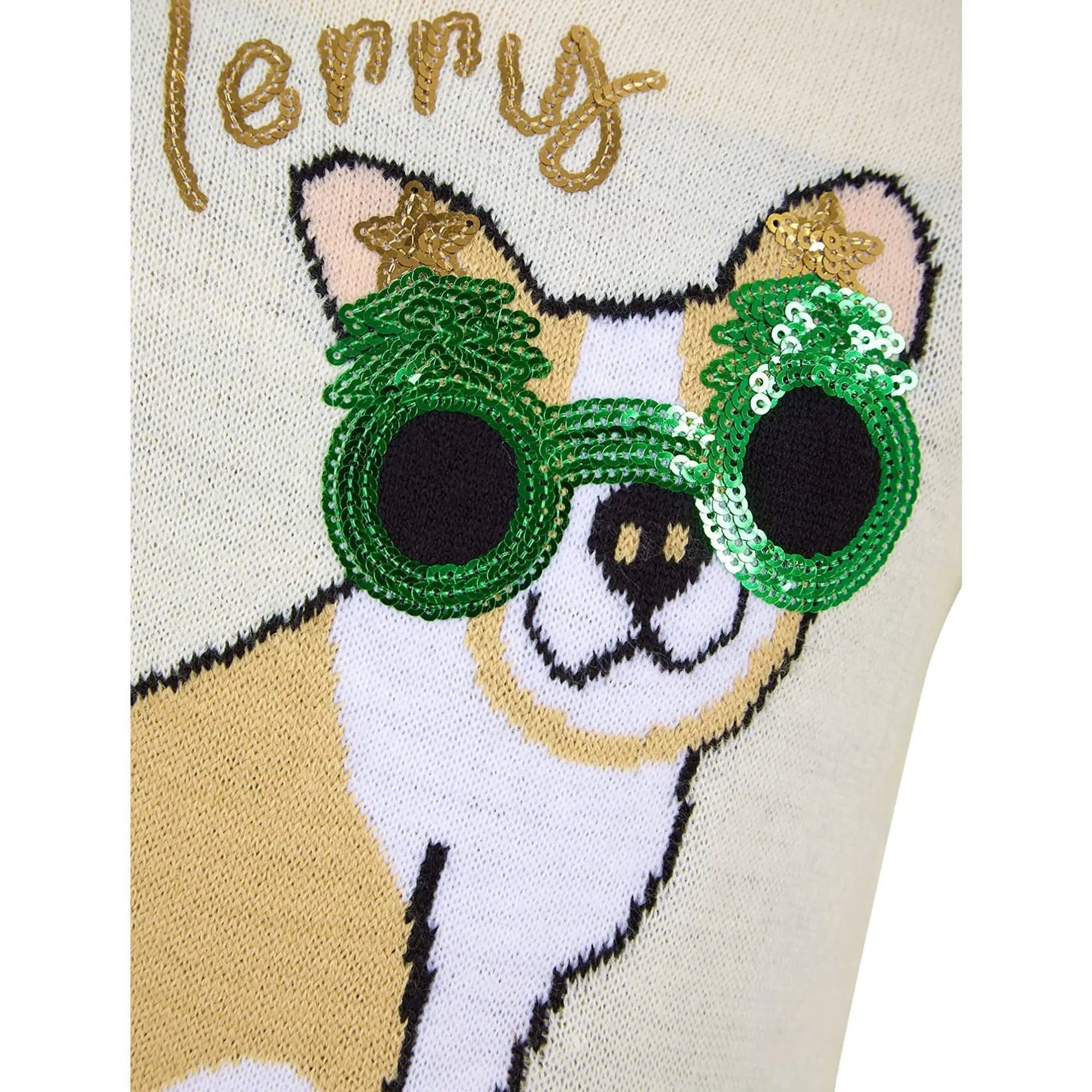 Christmas Glasses Dog Junior Christmas Jumper - Cream