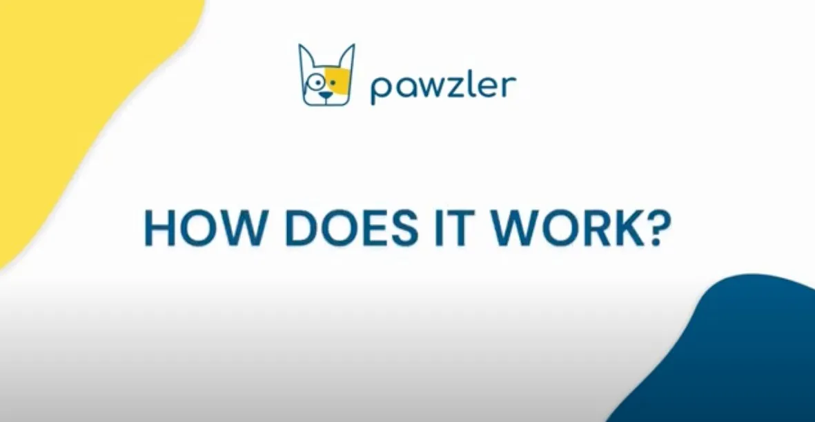 Pawzler Innovative Modular Dog Puzzles (Base Only)