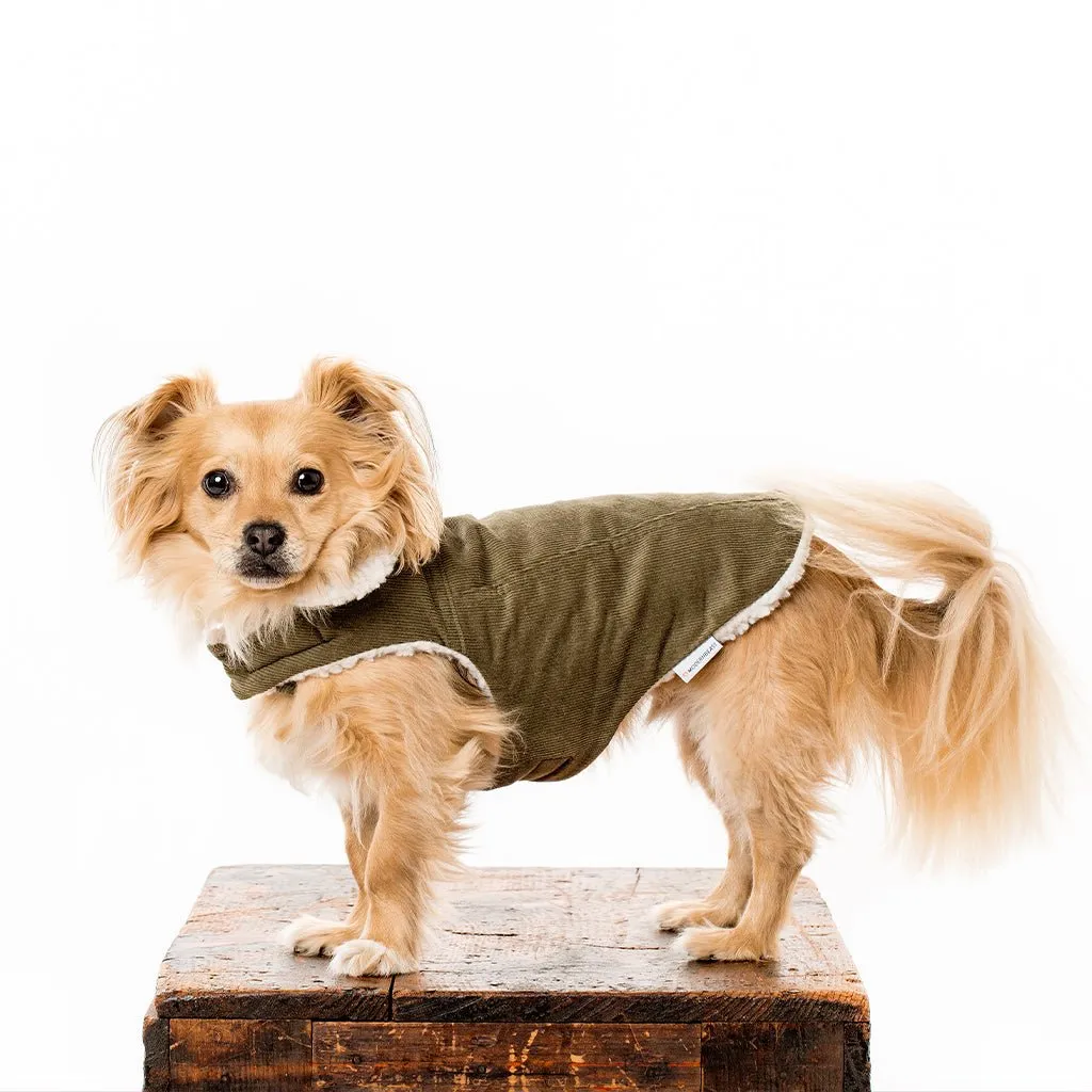 Pet Modern Classic Coat