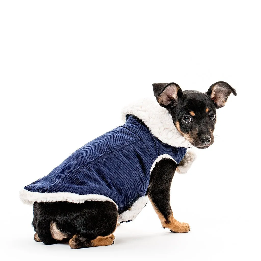 Pet Modern Classic Coat