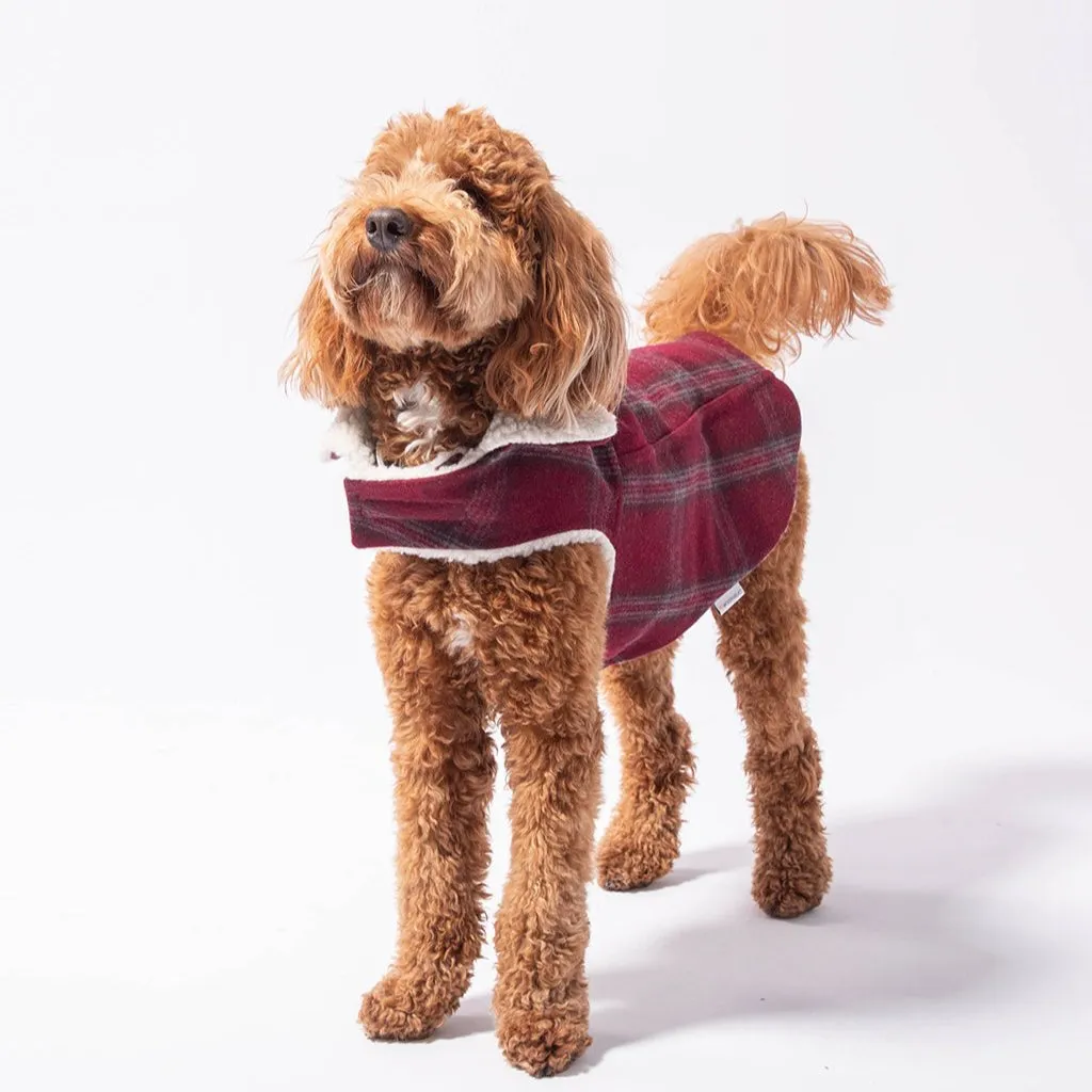 Pet Modern Classic Coat