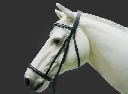 Plain Raised English Bridle - Premium Leather Quality with Stainless steel Hardware