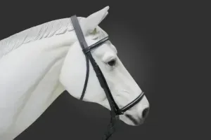 Plain Raised English Bridle - Premium Leather Quality with Stainless steel Hardware