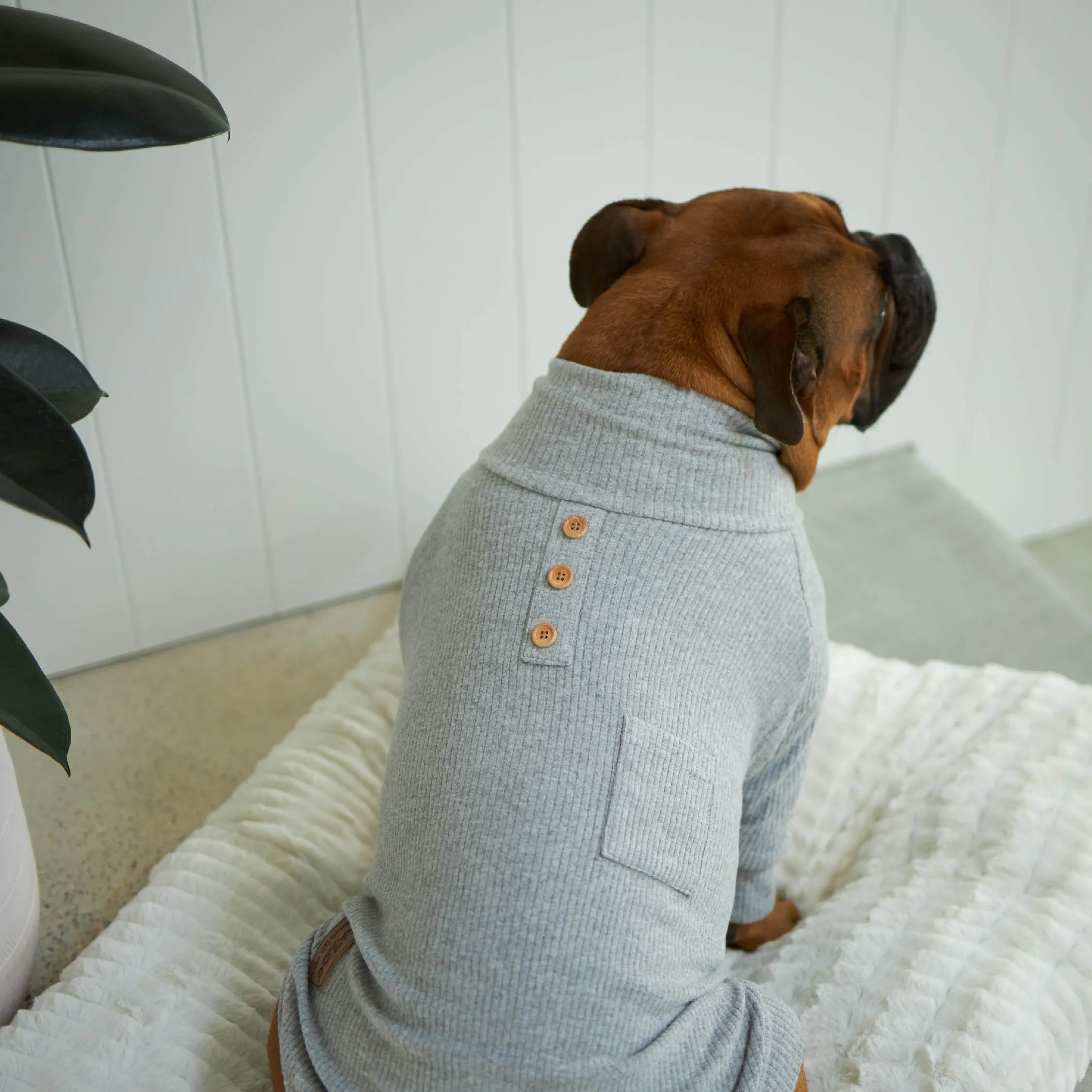 Pooch Dog Pyjamas - Grey