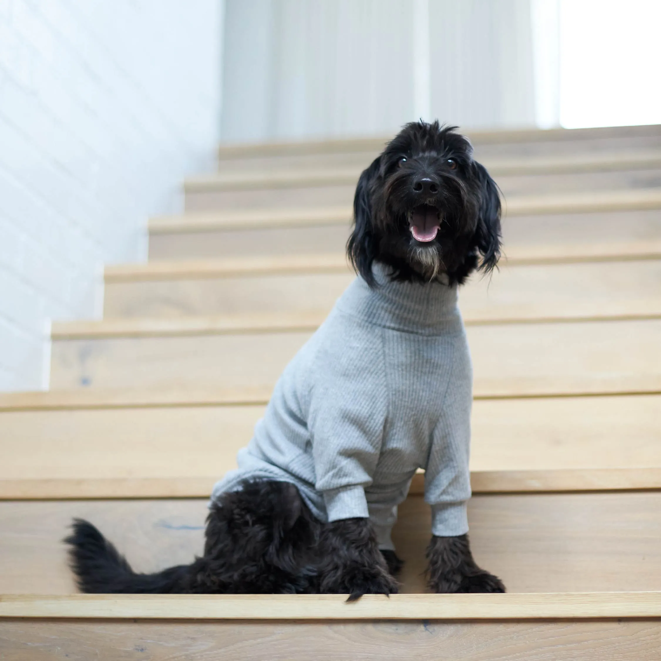 Pooch Dog Pyjamas - Grey