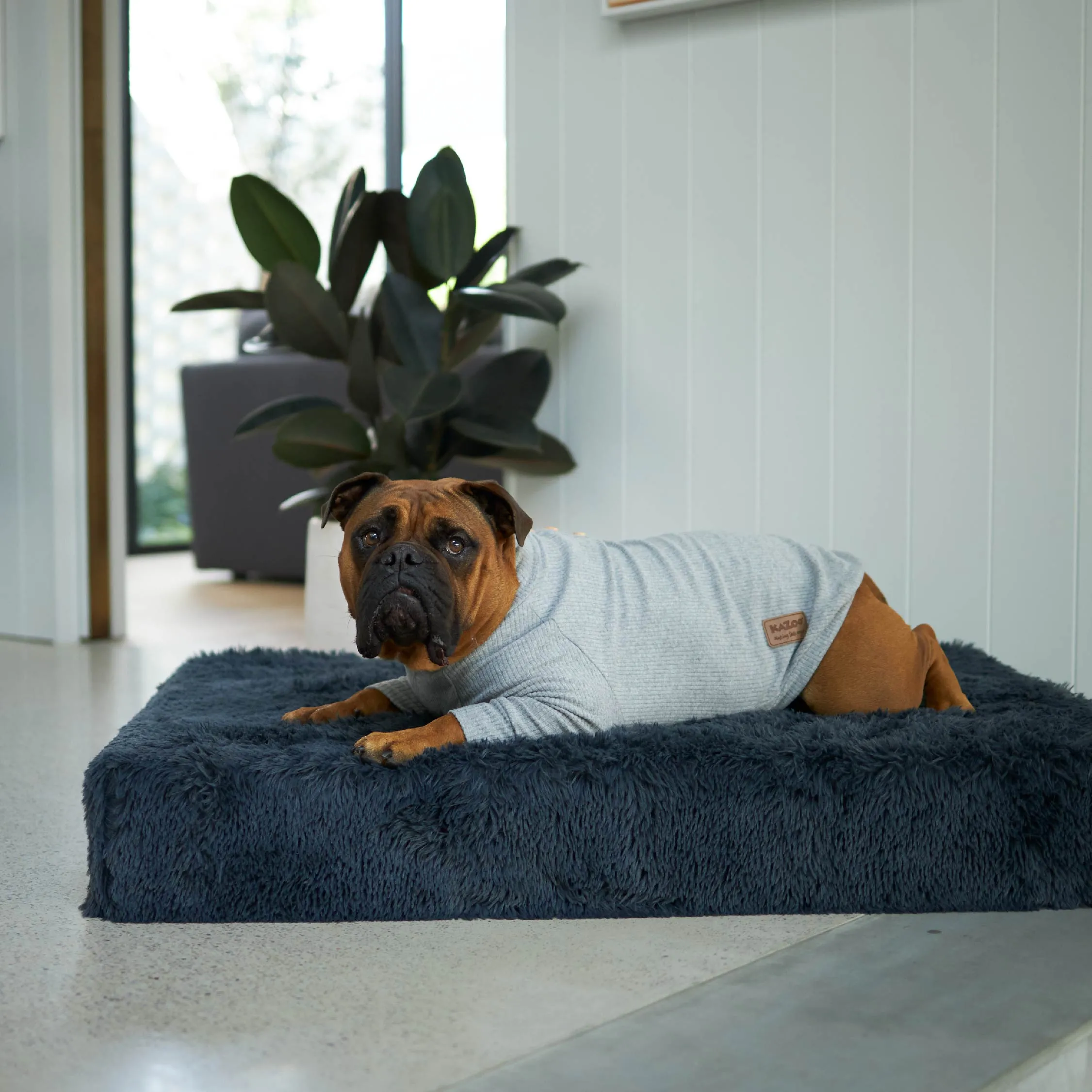 Pooch Dog Pyjamas - Grey